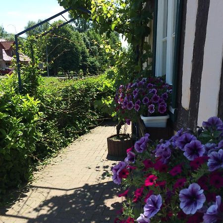 Appartements An Der Schleuse Lübz Eksteriør billede