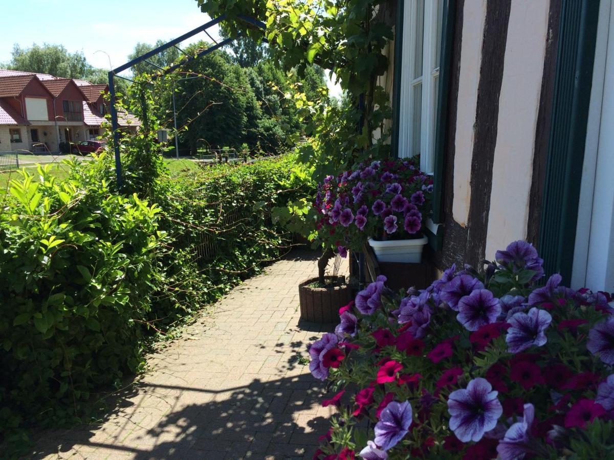 Appartements An Der Schleuse Lübz Eksteriør billede